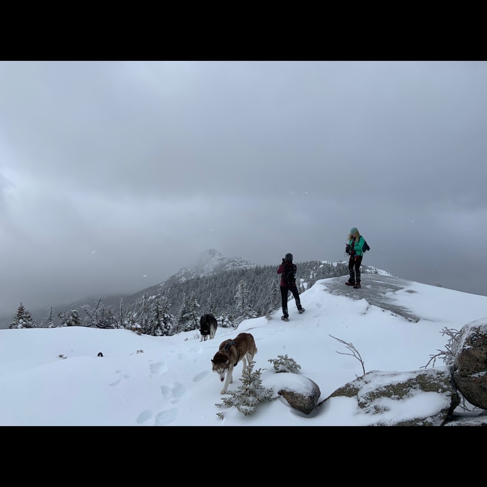 Meet your Posher, Rich